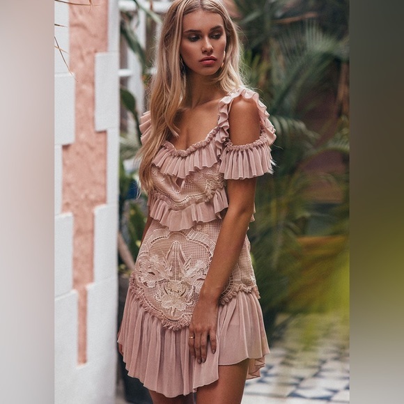 ❌SOLD❌ALICE MCCALL LOVEBIRDS DRESS ROSE PINK SIZE 6 - Picture 8 of 17